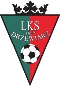 Drzewiarz Swierczyna logo