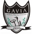 gavia logo