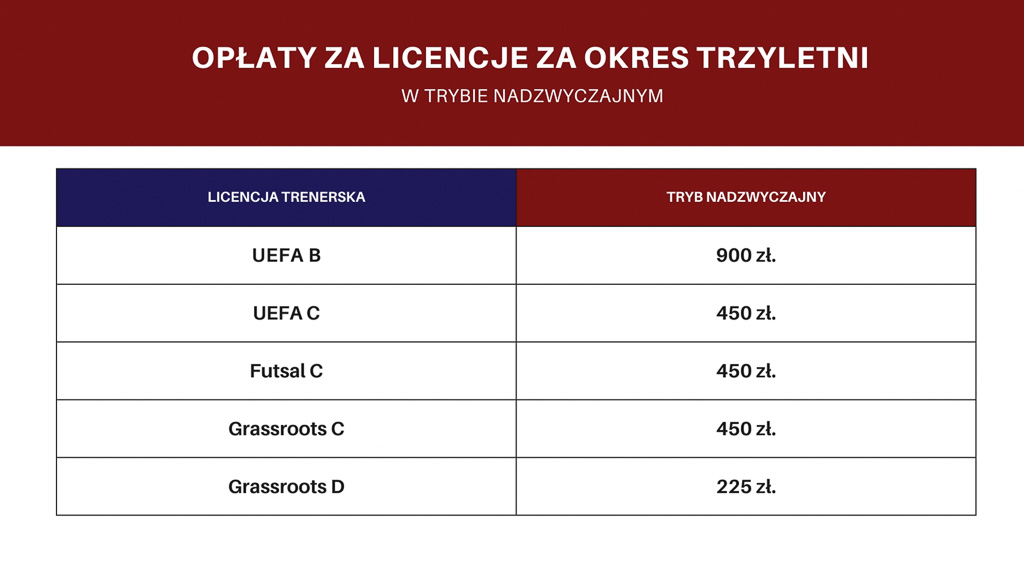 nadzwyczajny