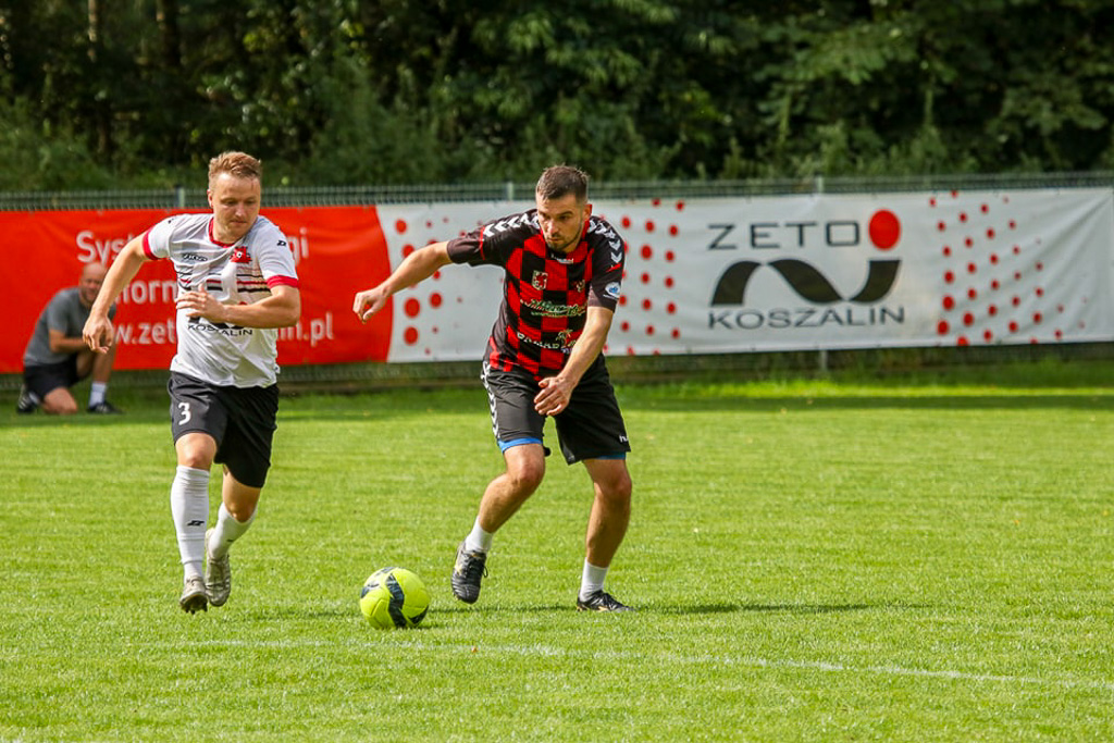 zefir gryf